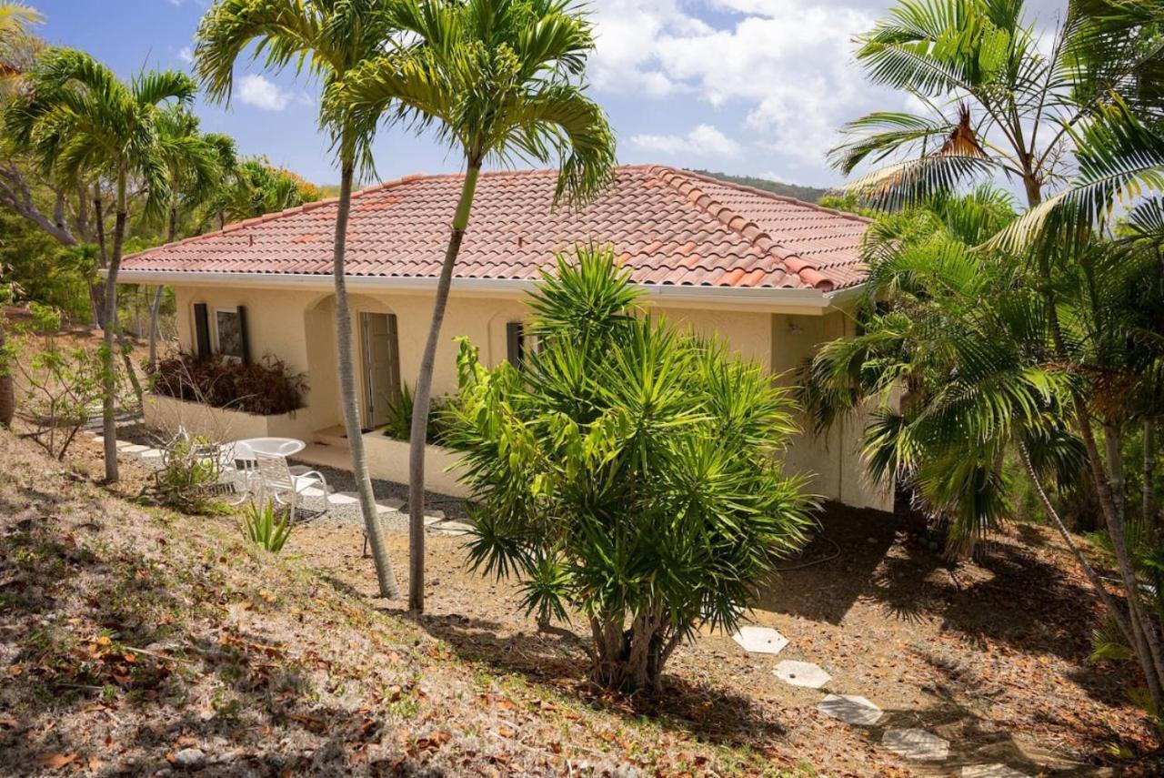 Betsy Jewel Caribbean Retreat Villa Christiansted Exterior photo